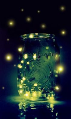 fireflies in jar - public domain image